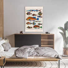 Load image into Gallery viewer, Rare Exotic Fish