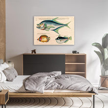 Load image into Gallery viewer, Fish 3