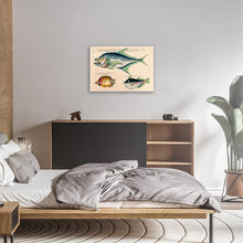 Load image into Gallery viewer, Fish 3