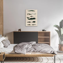Load image into Gallery viewer, Whales
