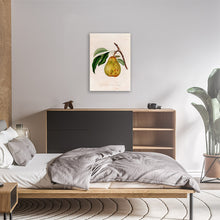 Load image into Gallery viewer, Illustration Of A Pear