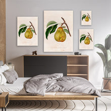 Load image into Gallery viewer, Illustration Of A Pear