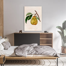 Load image into Gallery viewer, Illustration Of A Pear