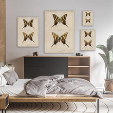 Load image into Gallery viewer, Moths & Butterflies