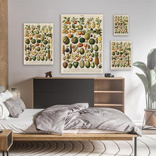Load image into Gallery viewer, A Vintage Illustration Of Fruits And Vegetables