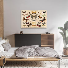 Load image into Gallery viewer, A Collage Of Beautifully Colourful Butterflies
