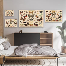 Load image into Gallery viewer, A Collage Of Beautifully Colourful Butterflies