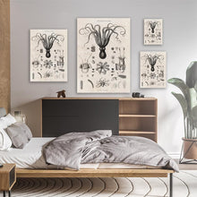 Load image into Gallery viewer, Black And White Illustration Of Octopuses