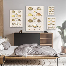 Load image into Gallery viewer, Coloured Sea Shell Illustration
