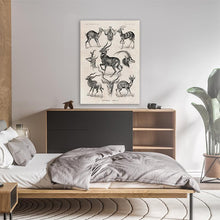 Load image into Gallery viewer, Vintage Antelope Illustration