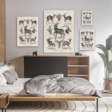 Load image into Gallery viewer, Vintage Antelope Illustration