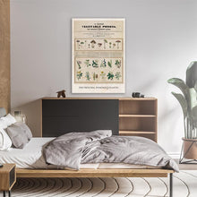 Load image into Gallery viewer, Vintage Chart Of Poisonous Mushrooms