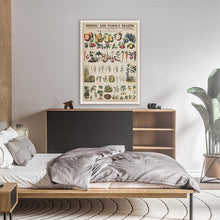 Load image into Gallery viewer, Vintage Chart of Plants