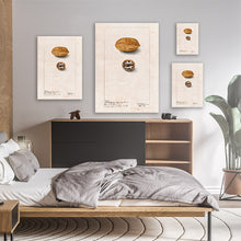 Load image into Gallery viewer, Pecans Illustration