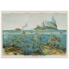 Load image into Gallery viewer, Nature in Descending Regions Illustration