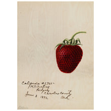 Load image into Gallery viewer, Strawberries