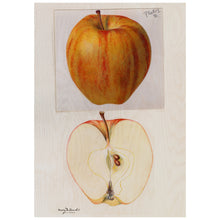 Load image into Gallery viewer, Apples