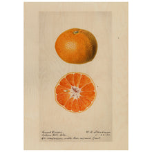 Load image into Gallery viewer, Oranges