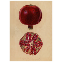 Load image into Gallery viewer, Pomegranates