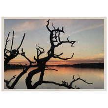 Load image into Gallery viewer, African Sunset