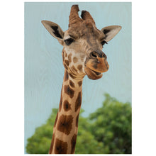 Load image into Gallery viewer, Giraffe
