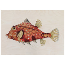 Load image into Gallery viewer, Vintage Fish Illustration
