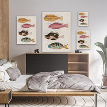 Load image into Gallery viewer, Colourful Fish Illustration
