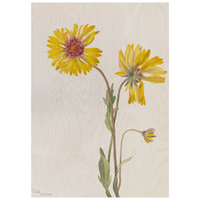 Load image into Gallery viewer, Yellow Flower Illustration
