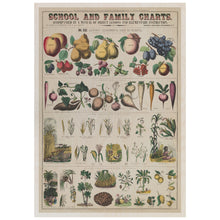 Load image into Gallery viewer, Vintage Chart of Plants
