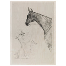 Load image into Gallery viewer, Horse And Collie
