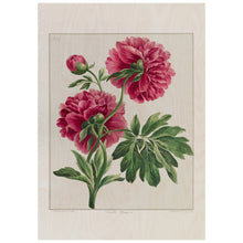 Load image into Gallery viewer, Double Peony
