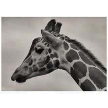 Load image into Gallery viewer, Giraffes Head
