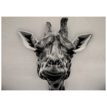 Load image into Gallery viewer, Giraffe In Monotone
