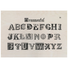 Load image into Gallery viewer, Ornamental Fonts From Draughtsman&#39;S Alphabets
