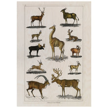 Load image into Gallery viewer, Vintage Animals With Antlers
