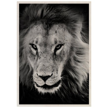 Load image into Gallery viewer, Lion In The Grass

