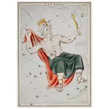 Load image into Gallery viewer, Illustration Of The Cepheus
