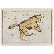 Load image into Gallery viewer, Vintage Constellation Of Ursa Major
