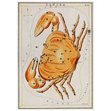 Load image into Gallery viewer, Illustration Of Cancer Zodiac
