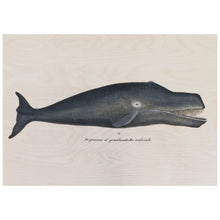 Load image into Gallery viewer, Bowhead Whale
