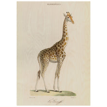 Load image into Gallery viewer, La Giraffe
