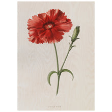 Load image into Gallery viewer, Red Vintage Flower
