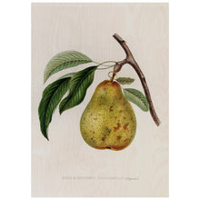 Load image into Gallery viewer, Illustration Of A Pear
