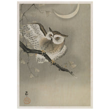 Load image into Gallery viewer, Long-Eared Owl In Ginkgo
