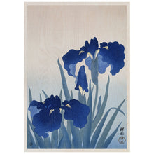 Load image into Gallery viewer, Iris Flowers
