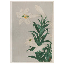Load image into Gallery viewer, Lilies By Ohara
