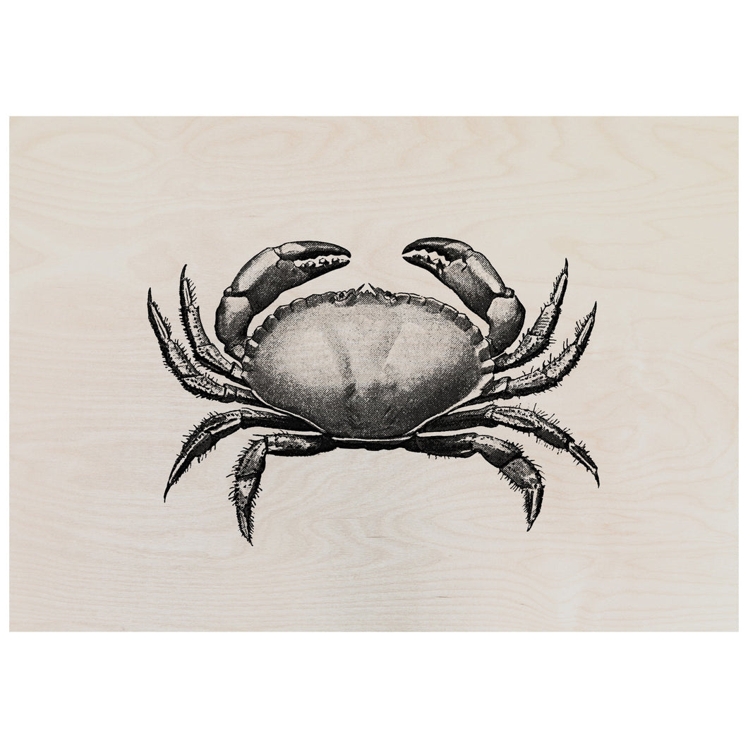 Vintage Crab Engraving