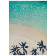 Load image into Gallery viewer, Tropical Beach from Above
