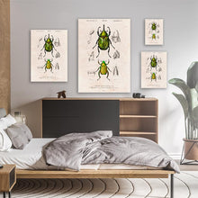 Load image into Gallery viewer, Eastern Hecules Beetle
