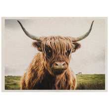Load image into Gallery viewer, Hairy Cow
